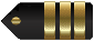 Insignia